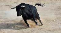 The S&P 500 just did something it’s only done four times in 50 years. Here’s what happened next.