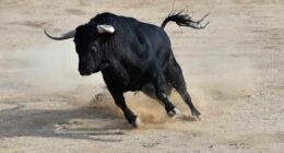The S&P 500 just did something it’s only done four times in 50 years. Here’s what happened next.