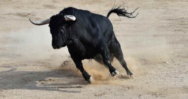 The S&P 500 just did something it’s only done four times in 50 years. Here’s what happened next.
