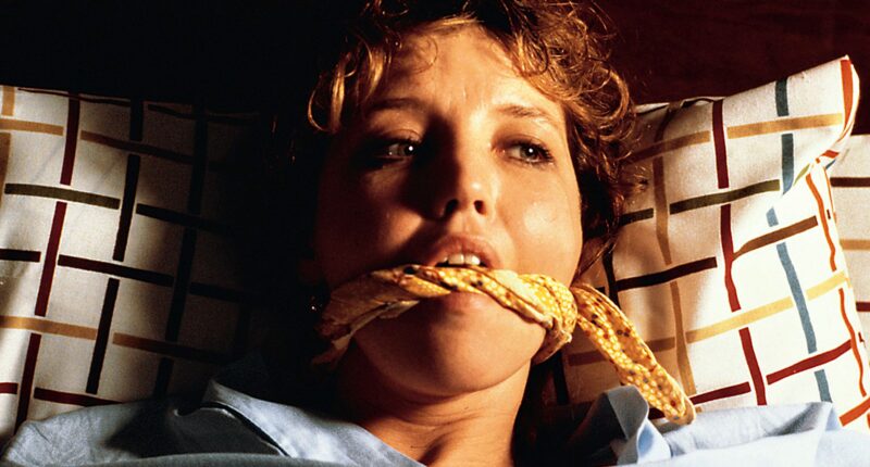 The Sequel to This Infamously Gruesome ’80s Horror Slasher Got Canceled for a Tragic Reason