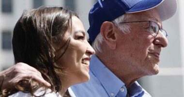 The last holdout bears are Democrats, these strategists say. Their capitulation could fuel the next leg higher for stocks.