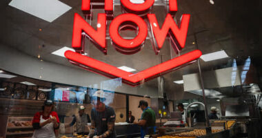 The meme-stock party is already fizzling out. What that means for the rest of the market.