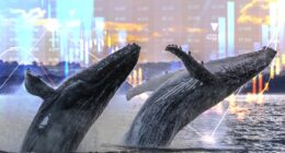 These whales are almost finished loading up on U.S. stocks, so it’s time to start reducing risk, says former trader.