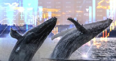 These whales are almost finished loading up on U.S. stocks, so it’s time to start reducing risk, says former trader.