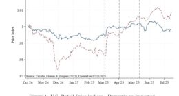 This chart shows how prices have gone up because of Trump’s tariffs