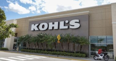 This is why meme stocks have ‘bubbled back to the surface,’ fund manager says