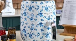 This luxury home appliance collab is a simple hack to transform your kitchen - but should you ditch your favourite air fryer for something less ugly?