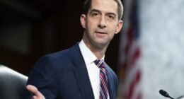 Tom Cotton Wants to Know Why Microsoft Uses Chinese Engineers to Maintain Defense Systems and So Do We – RedState