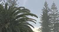 The freak tornado (pictured) tore through the coastal suburb of City Beach in Perth