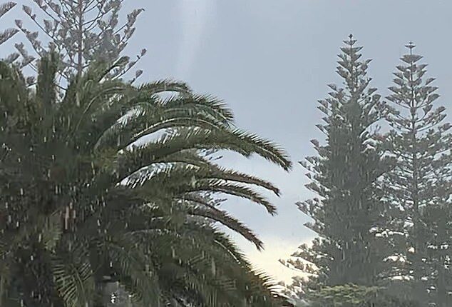 The freak tornado (pictured) tore through the coastal suburb of City Beach in Perth