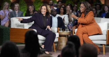 Trump Blasts Kamala and the Celebrities Her Campaign Paid, Says 'They Should All Be Prosecuted!' – RedState