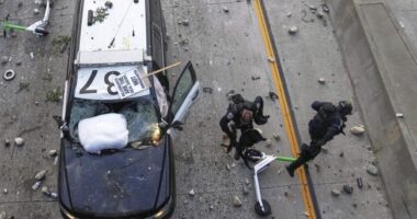 Trump Drops Receipts on Democrats' Call to Violence Against ICE – HotAir