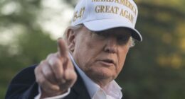 Trump Drops the Hammer in New Statement on People Who Are Physically Attacking ICE Agents – RedState