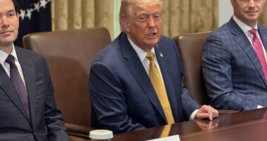 Trump Promises 'No Amnesty' For Illegal Alien Agricultural Workers