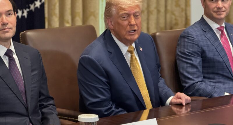 Trump Promises 'No Amnesty' For Illegal Alien Agricultural Workers