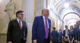 Trump Scores DOGE Win in Senate; Clock's Ticking in House – HotAir