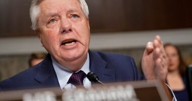 Judiciary Committee Ranking Member U.S. Senator Lindsey Graham (R-SC) speaks at the U.S. Capitol in Washington, U.S., January 31, 2024