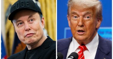 Trump scorches Elon Musk’s plans for a third party: ‘TRAIN WRECK’