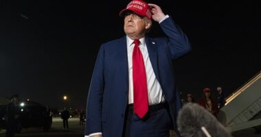 President Trump is pushing a 17% tax on all foods from EU into the US