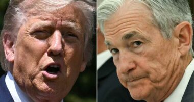 Trump ‘not planning’ to fire Fed’s Powell as Washington speculates he will  