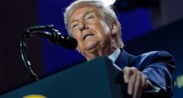 Trump’s birthright citizenship order is unconstitutional, appeals court rules