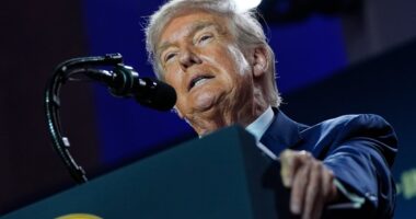 Trump’s birthright citizenship order is unconstitutional, appeals court rules