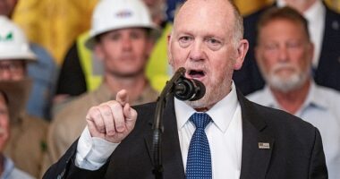 Border Czar Tom Homan had some choice words for a protester on Saturday night