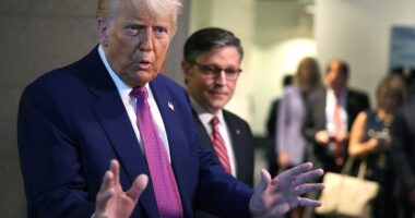 Trump’s ‘Big, Beautiful Bill’ threatened by House Republicans after marathon vote passes welfare cuts