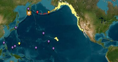Tsunami panic grips the Pacific: Japan is hit by five foot tidal wave after biggest earthquake in 14 years caused millions to evacuate - Live updates