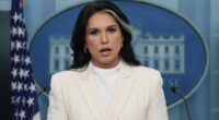 Tulsi Gabbard Summarizes the Case Against President Obama During the White House Briefing – HotAir