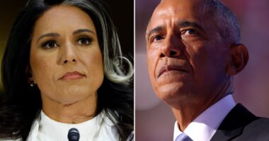 Tulsi Gabbard openly accuses Obama of longstanding effort to overthrow Trump in coup