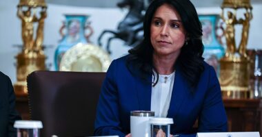 Tulsi Gabbard, Director of National Intelligence (DNI) called for Bondi to start prosecuting Obama officials
