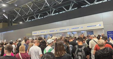 Frustrated passengers - including tourists on summer vacations - were hit by delays, diverted flights and numerous cancellations due to the drone attacks on Moscow