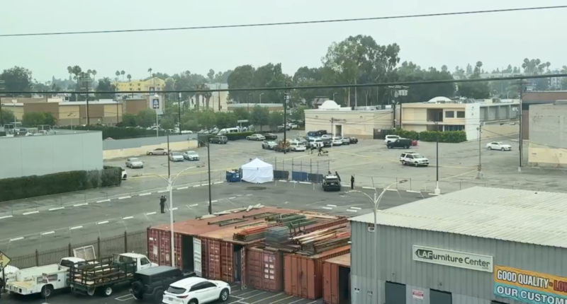 Unidentified Toddler Boy Found Dead in Commercial Parking Lot