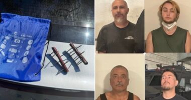 Vice Chair of La Raza Unida Arrested for Tire Spiking Border Patrol Vehicles in CA