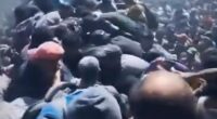 Footage shared by Turkish outlet TRT purported to show an aid truck swarmed by desperate civilians on Saturday, July 26, before the Israeli military began pauses in the fighting