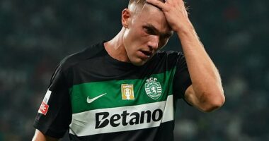 Viktor Gyokeres' drawn-out Arsenal saga is reportedly at risk of collapsing at the final hurdle