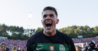 Viktor Gyokeres set the world alight at Sporting Lisbon after proving to be Brighton's biggest ever mistake... why Arsenal are throwing £70m at Europe's hottest striker