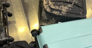 Virgin Atlantic passengers landing in John F. Kennedy International Airport earlier this week were shocked to be greeted with a rancid smell at the carousel before discovering that their suitcases were covered in a mysterious substance