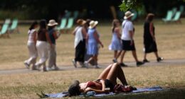A woman sunbathes at St James's Park in London yesterday afternoon during the heatwave