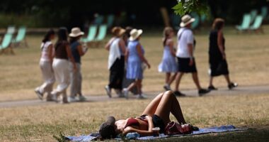 A woman sunbathes at St James's Park in London yesterday afternoon during the heatwave