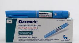 An estimated 1.5 million Britons are now using wonder drugs such as Ozempic, Mounjaro or Wegovy (stock image)