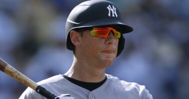 What Happens After Yankees Release of DJ LeMahieu?