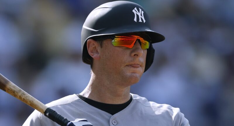 What Happens After Yankees Release of DJ LeMahieu?