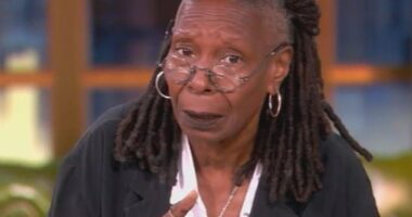 Whoopi Goldberg fiercely defended the former Astronomer CEO on The View