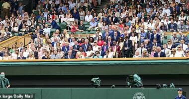 Wimbledon's Royal Box was awash with decorated athletes on Saturday, with Paralympians and Olympians joining a member of the 1966 World Cup squad
