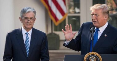 Why Trump might not get rapid interest-rate cuts even after he replaces Fed chief Powell