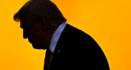 Why international stocks can keep walloping U.S. investments in 2025