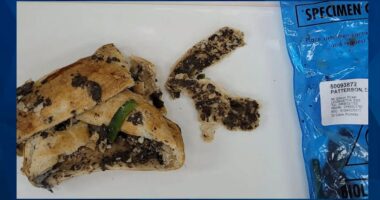 Wife Learns Her Fate After Poisoning In-Laws and Sister with Deadly Mushroom Beef Wellington