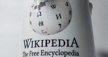 wikipedia